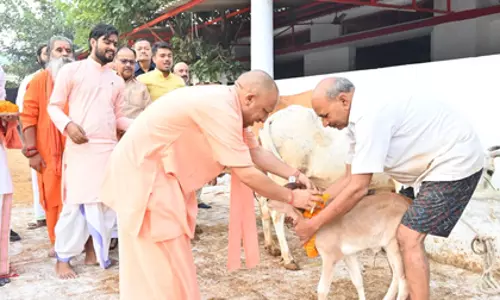 CM योगी ने दी गोवर्धन पूजा की शुभकामनाएं, गोरखनाथ मंदिर में की पूजा-अर्चना CM योगी ने दी गोवर्धन पूजा की शुभकामनाएं, गोरखनाथ मंदिर में की पूजा-अर्चना