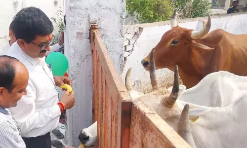 Farrukhabad: गौअष्टमी के अवसर पर डीएम ने कान्हा गौशाला में की पूजा