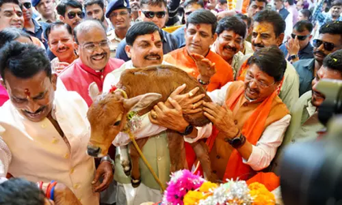 गायें हमेशा इंसानों के बीच रहना पसंद करती हैं: गोवर्धन पूजा पर MP के सीएम गायें हमेशा इंसानों के बीच रहना पसंद करती हैं: गोवर्धन पूजा पर MP के सीएम
