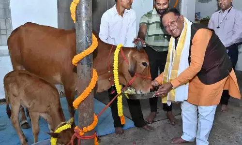गोवर्धन पूजा पर मुख्यमंत्री ने किया गौपूजन, प्रदेशवासियों की सुख-समृद्धि की कामना की गोवर्धन पूजा पर मुख्यमंत्री ने किया गौपूजन, प्रदेशवासियों की सुख-समृद्धि की कामना की