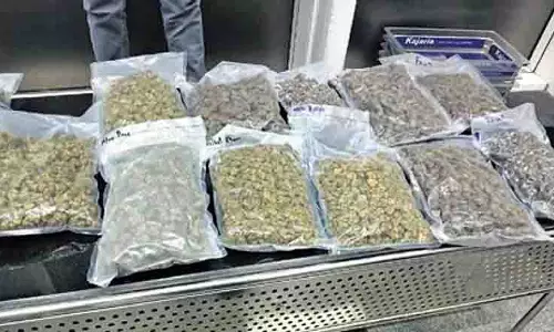 मतदाताओं को लुभाने की साजिश नाकाम, Jharkhand से आ रही मारिजुआना पकड़ी गई