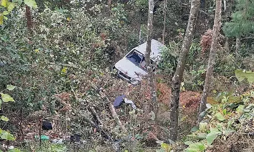 Mirik के पास भीषण हादसा, ब्रेक फेल होने से खाई में गिरी कार, 4 की मौत