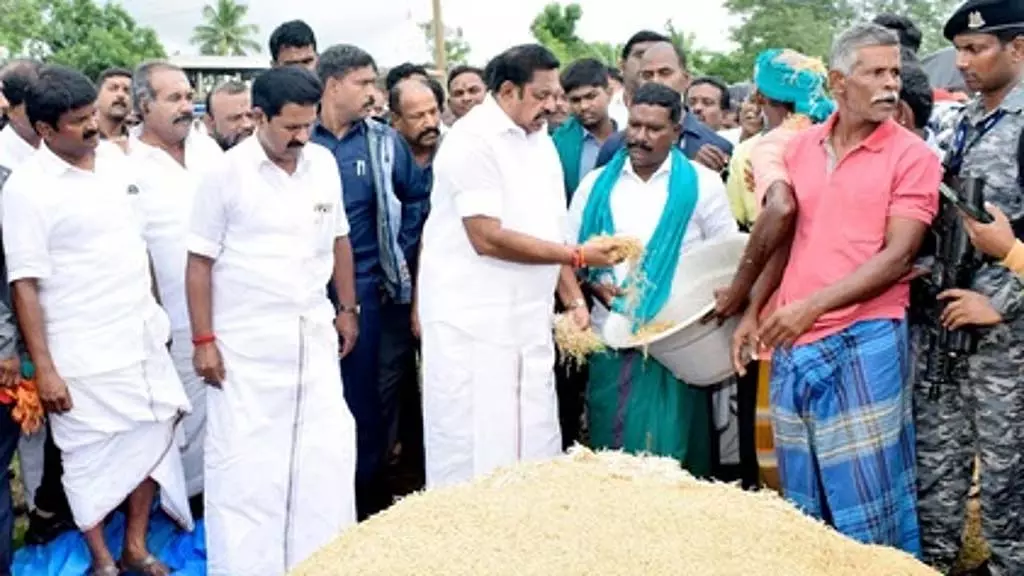 DMK सरकार धान खरीद में विफल रही - एडप्पादी पलानीस्वामी ने आरोप लगाया DMK सरकार धान खरीद में विफल रही - एडप्पादी पलानीस्वामी ने आरोप लगाया