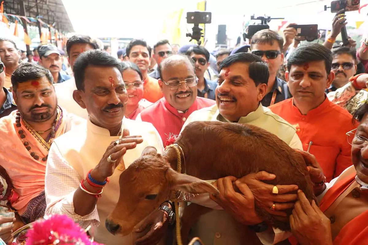 MP : सीएम मोहन यादव ने गाय के दूध की वकालत की, अंडों पर नाराज़गी जताई MP : सीएम मोहन यादव ने गाय के दूध की वकालत की, अंडों पर नाराज़गी जताई