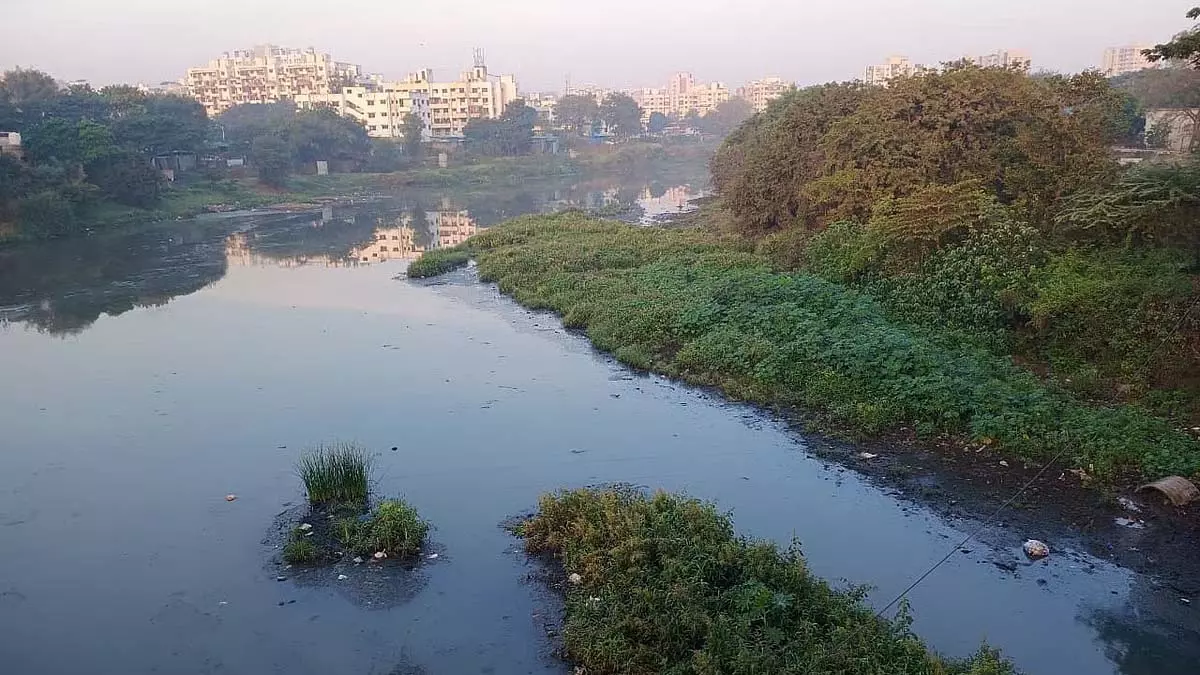 स्वास्थ्य जोखिम: पवना नदी में सीवेज का रिसाव, पिंपरी-चिंचवड़ के निवासियों ने कार्रवाई की मांग की स्वास्थ्य जोखिम: पवना नदी में सीवेज का रिसाव, पिंपरी-चिंचवड़ के निवासियों ने कार्रवाई की मांग की