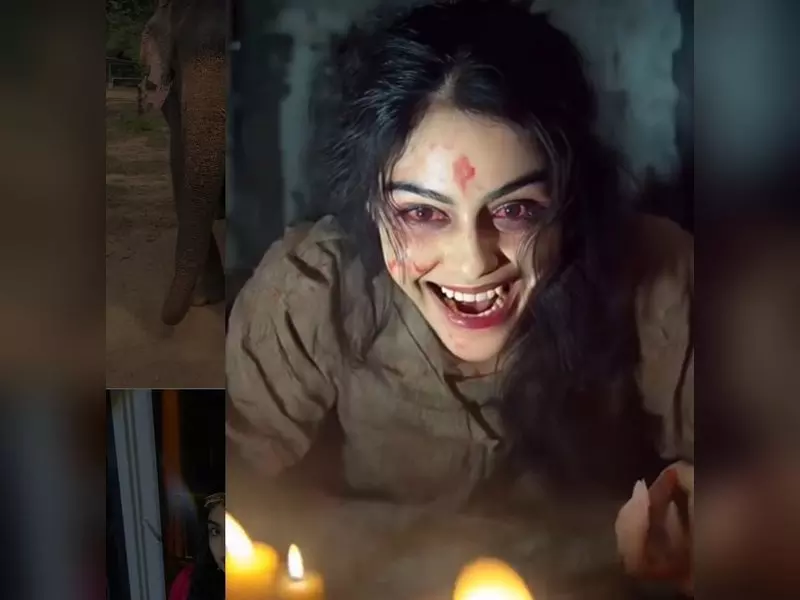 Adah Sharma ने हैलोवीन से पहले शेयर किया अपना डरावना लुक Adah Sharma ने हैलोवीन से पहले शेयर किया अपना डरावना लुक