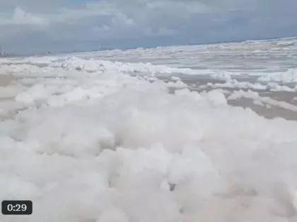 Chennai: झील के पानी में प्रदूषण के कारण समुद्र तट पर झाग की परत बनी Chennai: झील के पानी में प्रदूषण के कारण समुद्र तट पर झाग की परत बनी