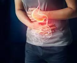 खराब हाजमे से परेशान? अपनाएं ये 6 आसान तरीके, Digestion होगा दुरुस्त खराब हाजमे से परेशान? अपनाएं ये 6 आसान तरीके, Digestion होगा दुरुस्त
