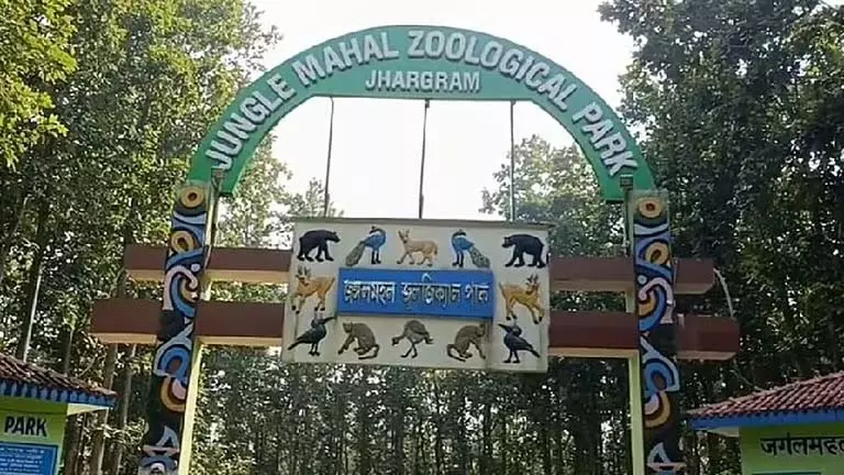 Jangalmahal प्राणि उद्यान में 16 महीनों में रिकॉर्ड भीड़ Jangalmahal प्राणि उद्यान में 16 महीनों में रिकॉर्ड भीड़