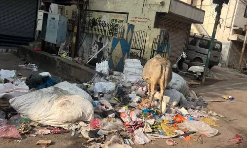 कचरे से पटा रायपुर शहर, जिधर भी नजर फेरों कूड़े ही कूड़े कचरे से पटा रायपुर शहर, जिधर भी नजर फेरों कूड़े ही कूड़े