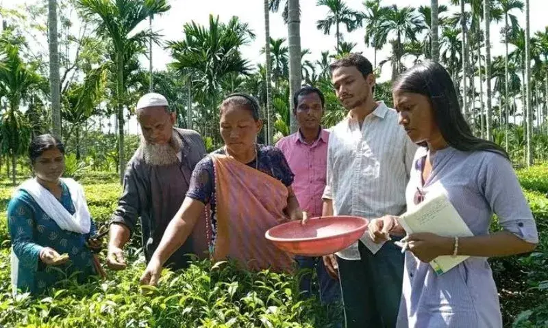 Assam: काजीरंगा-कार्बी आंगलोंग शिक्षण कार्यक्रम में सतत आजीविका को केंद्र में रखा Assam: काजीरंगा-कार्बी आंगलोंग शिक्षण कार्यक्रम में सतत आजीविका को केंद्र में रखा