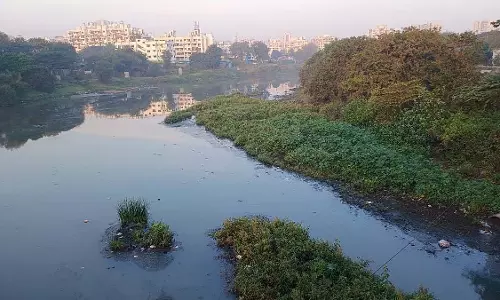 स्वास्थ्य जोखिम: पवना नदी में सीवेज का रिसाव, पिंपरी-चिंचवड़ के निवासियों ने कार्रवाई की मांग की स्वास्थ्य जोखिम: पवना नदी में सीवेज का रिसाव, पिंपरी-चिंचवड़ के निवासियों ने कार्रवाई की मांग की