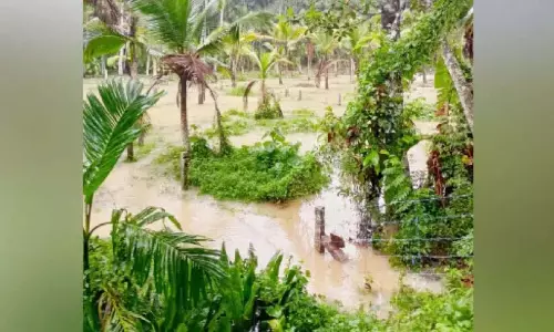Kerala : कोन्नियुर में कई एकड़ खेत पानी में डूबे हुए