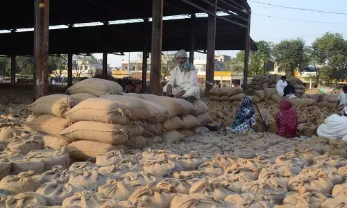 Haryana : गेट पास पर नजर टीमें फील्ड निरीक्षण बढ़ा रही हैं Haryana : गेट पास पर नजर टीमें फील्ड निरीक्षण बढ़ा रही हैं
