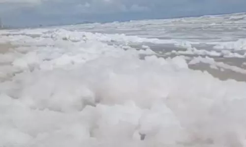 Chennai: झील के पानी में प्रदूषण के कारण समुद्र तट पर झाग की परत बनी Chennai: झील के पानी में प्रदूषण के कारण समुद्र तट पर झाग की परत बनी
