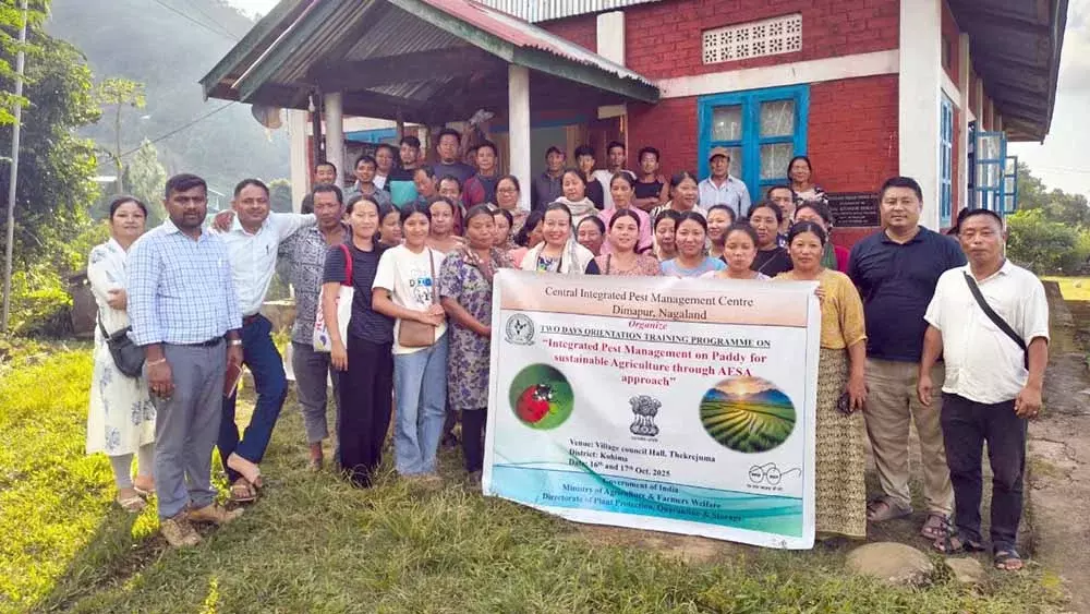 Nagaland :  टिकाऊ धान की खेती के लिए थेकरेजुमा गांव में आईपीएम प्रशिक्षण