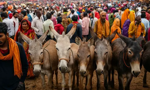 Madhya Pradesh: दिवाली के बाद गाढ़ों का मेला में उमड़ी भीड़