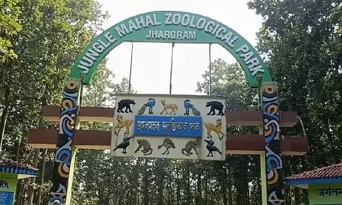 Jangalmahal प्राणि उद्यान में 16 महीनों में रिकॉर्ड भीड़ Jangalmahal प्राणि उद्यान में 16 महीनों में रिकॉर्ड भीड़