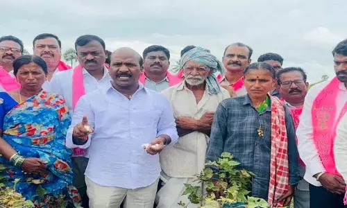 Telangana में Cotton Procurement में देरी, BRS नेता ने किसानों को मध्यस्थों के हाथों छोड़ने का आरोप लगाया