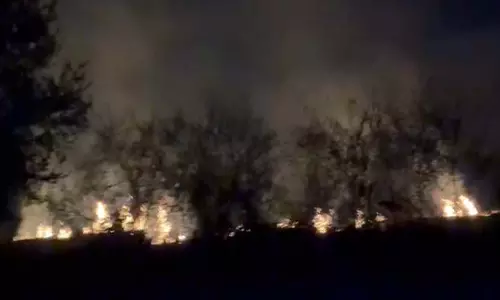 Kaithal में फसलों की पराली जलाने की घटना, प्रशासन ने की सख्त कार्रवाई की चेतावनी