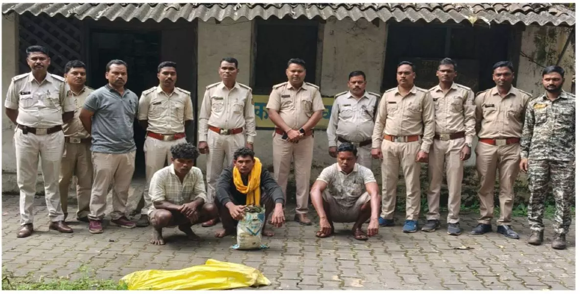 मृत हाथी का मामला सुलझा, वन विभाग की तत्परता से पकड़े गए तीन आरोपी मृत हाथी का मामला सुलझा, वन विभाग की तत्परता से पकड़े गए तीन आरोपी