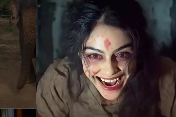 Adah Sharma ने हैलोवीन से पहले शेयर किया अपना डरावना लुक Adah Sharma ने हैलोवीन से पहले शेयर किया अपना डरावना लुक