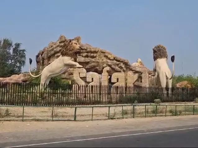 Etawah: इटावा में मिनी बस से सफारी का नया अनुभव Etawah: इटावा में मिनी बस से सफारी का नया अनुभव