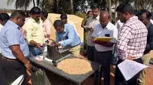 Tamil Nadu केंद्र ने धान की गुणवत्ता जांचने के लिए टीमें भेजीं Tamil Nadu केंद्र ने धान की गुणवत्ता जांचने के लिए टीमें भेजीं