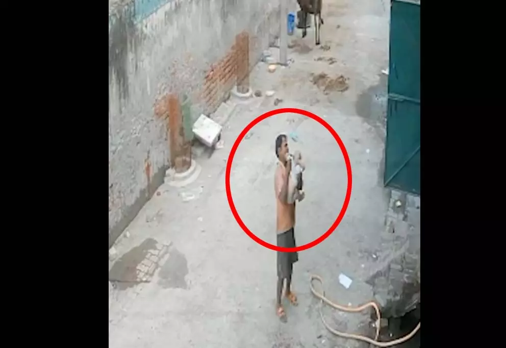 बच्चा छत से सड़क पर नीचे गिरा LIVE मंजर... बच्चा छत से सड़क पर नीचे गिरा LIVE मंजर...