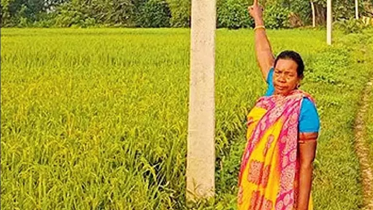 दीदी से कहने के बावजूद नहीं मिली बिजली, आदिवासी विधवा अंधेरे में दीदी से कहने के बावजूद नहीं मिली बिजली, आदिवासी विधवा अंधेरे में