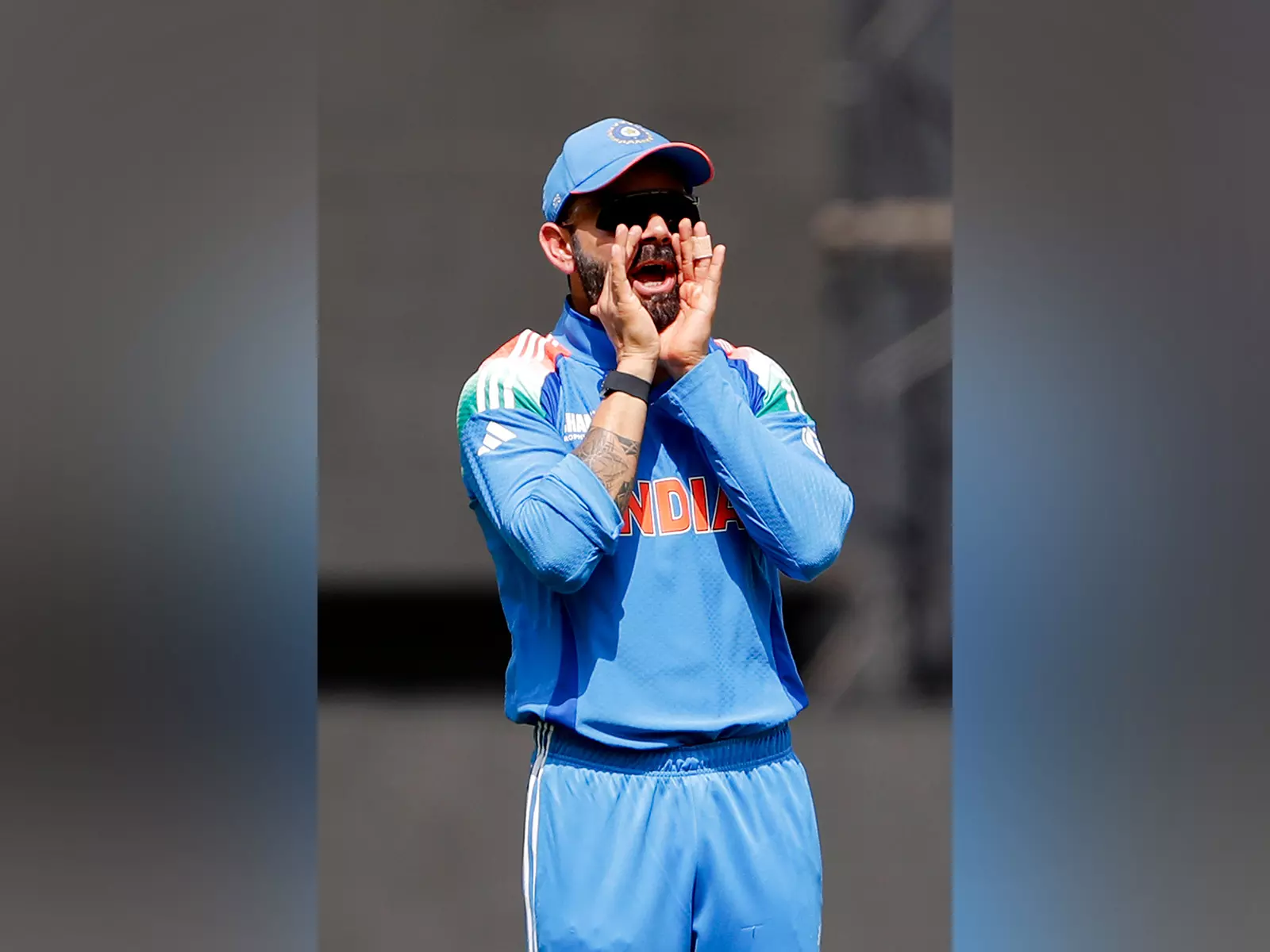विराट कोहली के जल्दी आउट होने से चिंतित रविचंद्रन अश्विन, बोले- गेंद की लाइन समझ नहीं पा रहे विराट कोहली के जल्दी आउट होने से चिंतित रविचंद्रन अश्विन, बोले- गेंद की लाइन समझ नहीं पा रहे