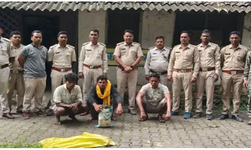 मृत हाथी का मामला सुलझा, वन विभाग की तत्परता से पकड़े गए तीन आरोपी