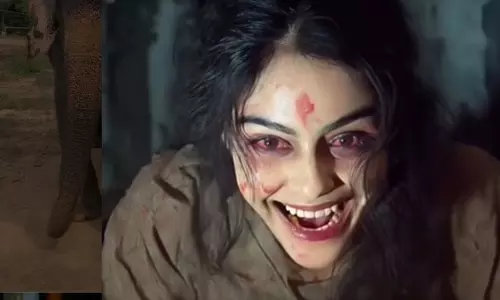 Adah Sharma ने हैलोवीन से पहले शेयर किया अपना डरावना लुक Adah Sharma ने हैलोवीन से पहले शेयर किया अपना डरावना लुक