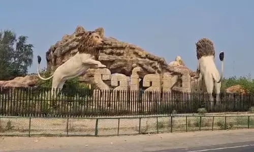 Etawah: इटावा में मिनी बस से सफारी का नया अनुभव