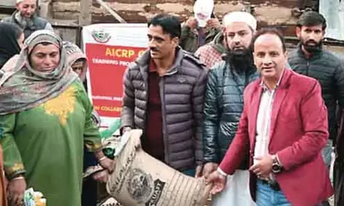 SKUAST-K ने आधुनिक गेहूं तकनीक को गुरेज के आदिवासी किसानों तक पहुंचाया SKUAST-K ने आधुनिक गेहूं तकनीक को गुरेज के आदिवासी किसानों तक पहुंचाया