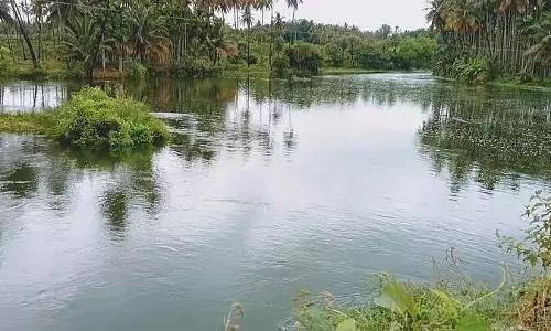 Tumkur : तुरुवेकेरे में झीलें भर गई