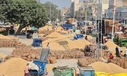 निजी गोदामों द्वारा आधिकारिक खरीद प्रक्रिया को दरकिनार करने से किसानों को नुकसान निजी गोदामों द्वारा आधिकारिक खरीद प्रक्रिया को दरकिनार करने से किसानों को नुकसान