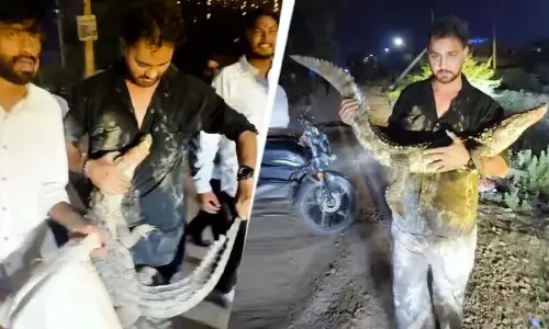 मगरमच्छ के साथ खेलते रहे युवक, गोद में लेकर मस्ती
