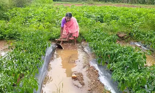 हुनसूर तालुक में भारी बारिश: फसलें डूब गईं, घर गिर गए हुनसूर तालुक में भारी बारिश: फसलें डूब गईं, घर गिर गए