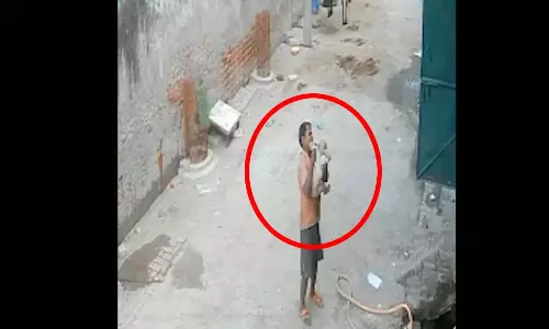 बच्चा छत से सड़क पर नीचे गिरा LIVE मंजर... बच्चा छत से सड़क पर नीचे गिरा LIVE मंजर...
