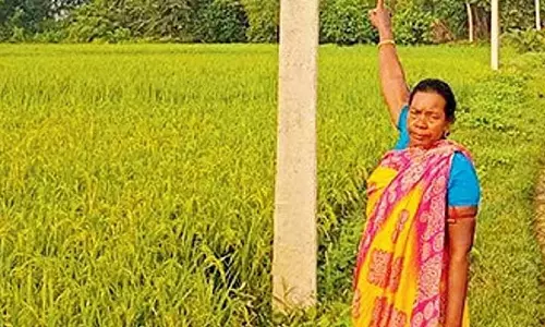 दीदी से कहने के बावजूद नहीं मिली बिजली, आदिवासी विधवा अंधेरे में दीदी से कहने के बावजूद नहीं मिली बिजली, आदिवासी विधवा अंधेरे में