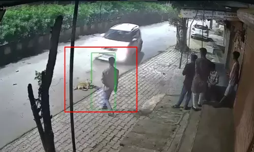 सड़क किनारे बैठे कुत्ते पर कार चढ़ाई, सोशल मीडिया पर वीडियो वायरल, मचा हड़कंप