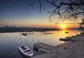 Chhath Puja 2025: भारत के ये 5 घाट छठ पूजा के लिए हैं सबसे प्रसिद्ध, जहां दिखती है आस्था की झलक Chhath Puja 2025: भारत के ये 5 घाट छठ पूजा के लिए हैं सबसे प्रसिद्ध, जहां दिखती है आस्था की झलक