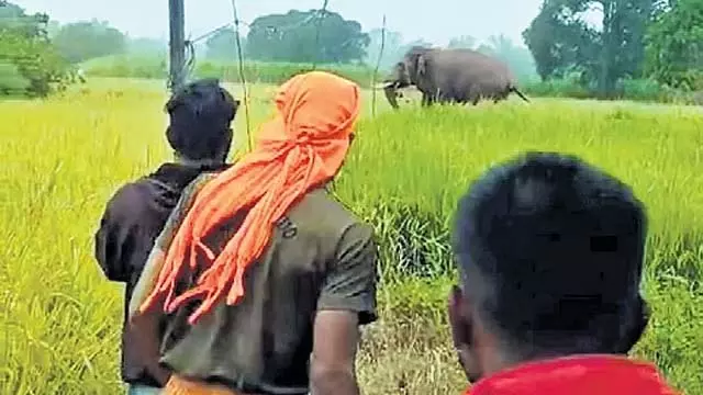 कृष्णराज सागर में लगातार पानी आ रहा है: पानी का बहाव बढ़ा - बाढ़ की चेतावनी कृष्णराज सागर में लगातार पानी आ रहा है: पानी का बहाव बढ़ा - बाढ़ की चेतावनी