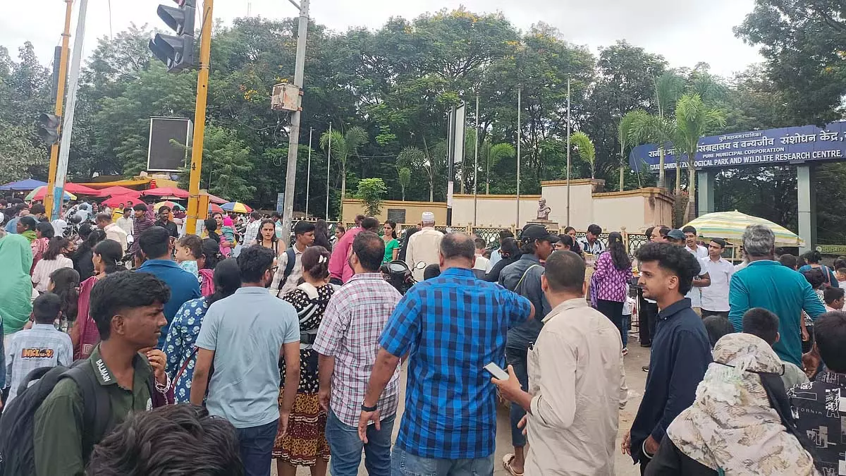 Diwali की छुट्टियां खत्म होने के साथ ही चिड़ियाघर में वीकेंड पर पर्यटकों की भारी भीड़ देखी गई Diwali की छुट्टियां खत्म होने के साथ ही चिड़ियाघर में वीकेंड पर पर्यटकों की भारी भीड़ देखी गई