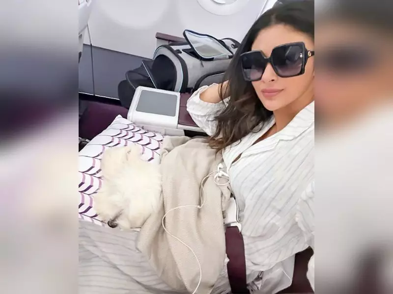 Mouni Roy का पालतू कुत्ता भी करती है बिजनेस क्लास का मज़ा Mouni Roy का पालतू कुत्ता भी करती है बिजनेस क्लास का मज़ा