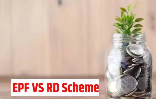 EPF vs RD: लॉन्ग टर्म और शॉर्ट टर्म निवेश के लिए कौन बेहतर EPF vs RD: लॉन्ग टर्म और शॉर्ट टर्म निवेश के लिए कौन बेहतर