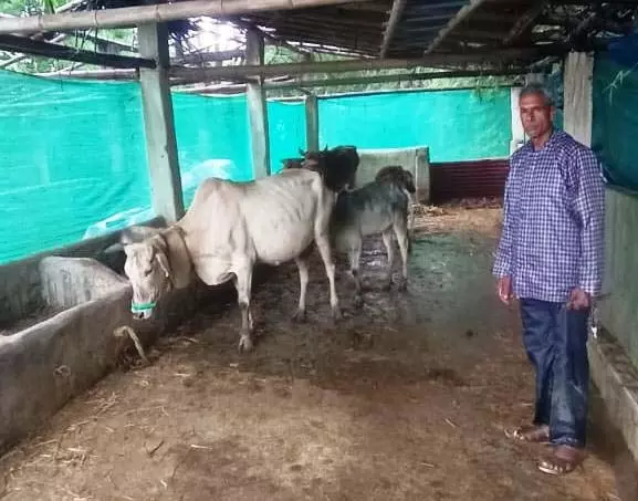 साय सरकार की योजनाओं से रामफल बने आत्मनिर्भर किसान साय सरकार की योजनाओं से रामफल बने आत्मनिर्भर किसान