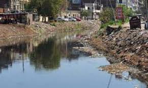 Ludhiana में अधिकारियों से कटारिया ने कहा, बुद्ध नाला साफ करो या अभियान बंद करो