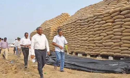 धान में नमी का स्तर: केंद्रीय टीम ने आज तमिलनाडु में निरीक्षण किया धान में नमी का स्तर: केंद्रीय टीम ने आज तमिलनाडु में निरीक्षण किया
